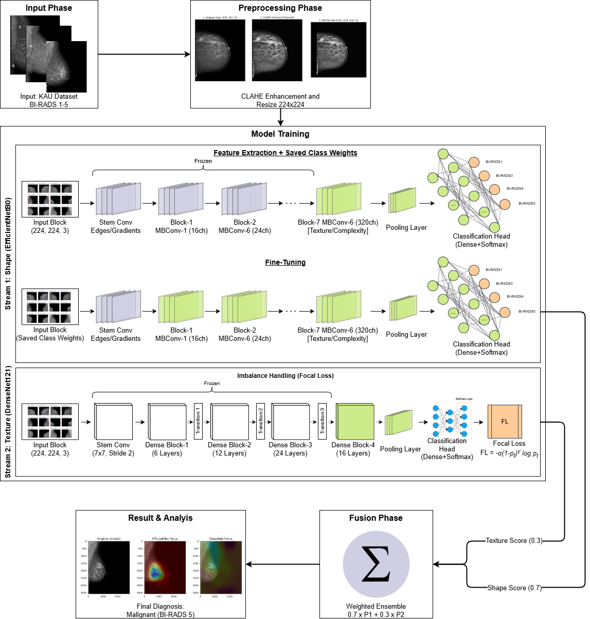 Dual-Stream Weighted Deep Transfer Learning Ensemble for Multiclass BI-RADS Breast Cancer Classification.